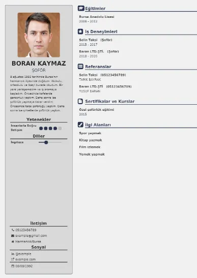 Şoför Örnek cv indir